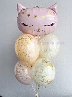 Шарики № 5 Розовая кошка со звездами 
